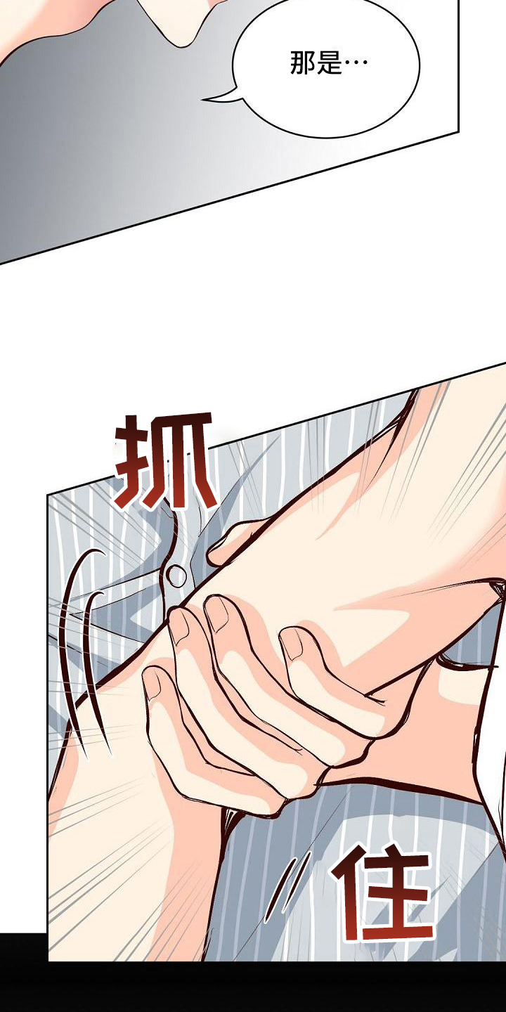 第18章：明知故问13