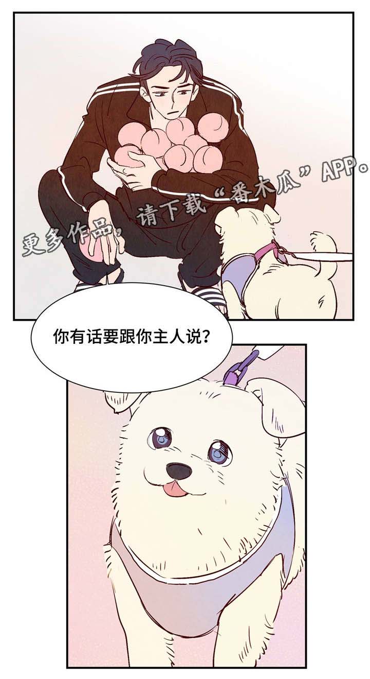 第8章：有话要说4
