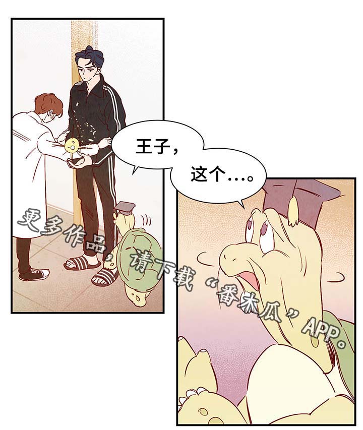 第38章：让我见见它6
