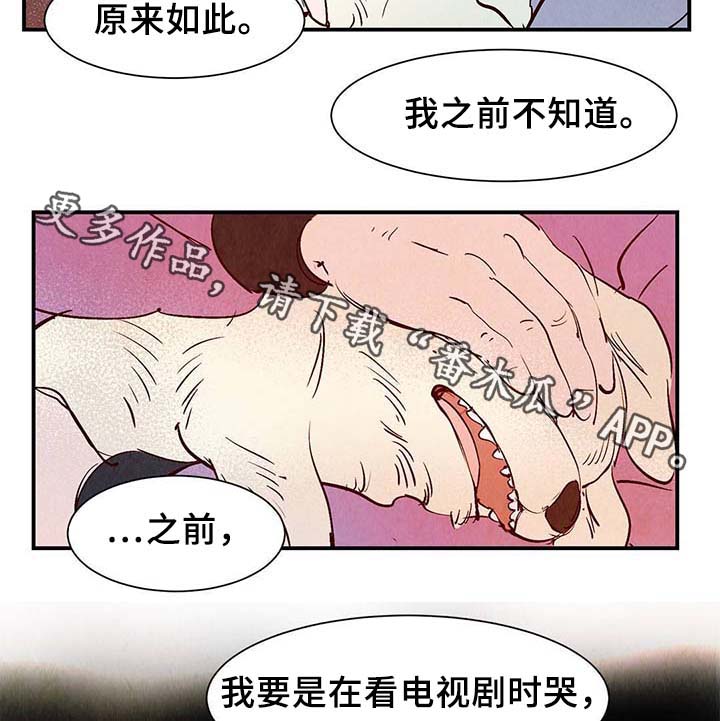 第37章：灵魂召唤18