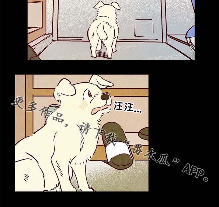 第40章：老幺的故事5