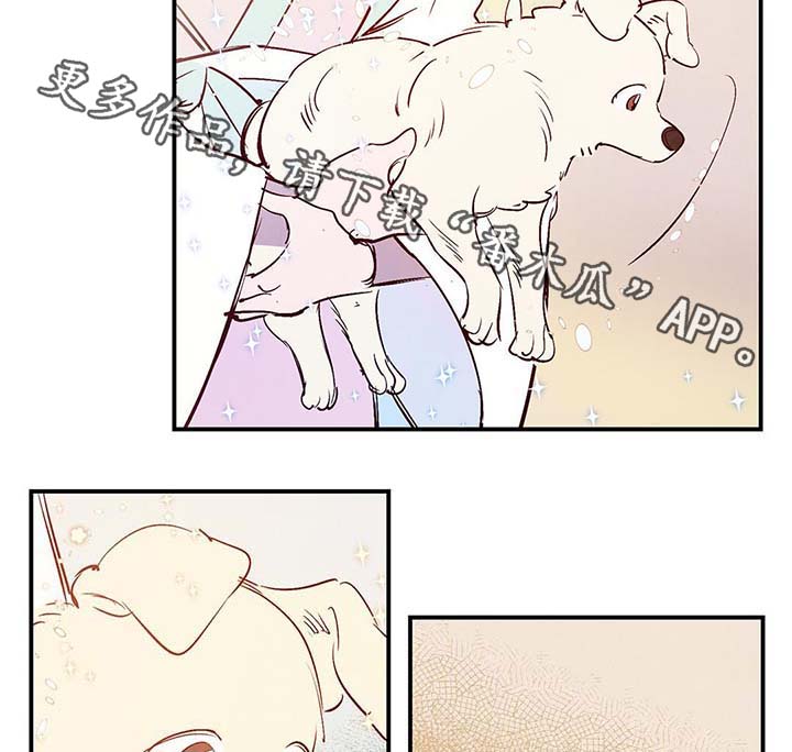 第39章：上路26