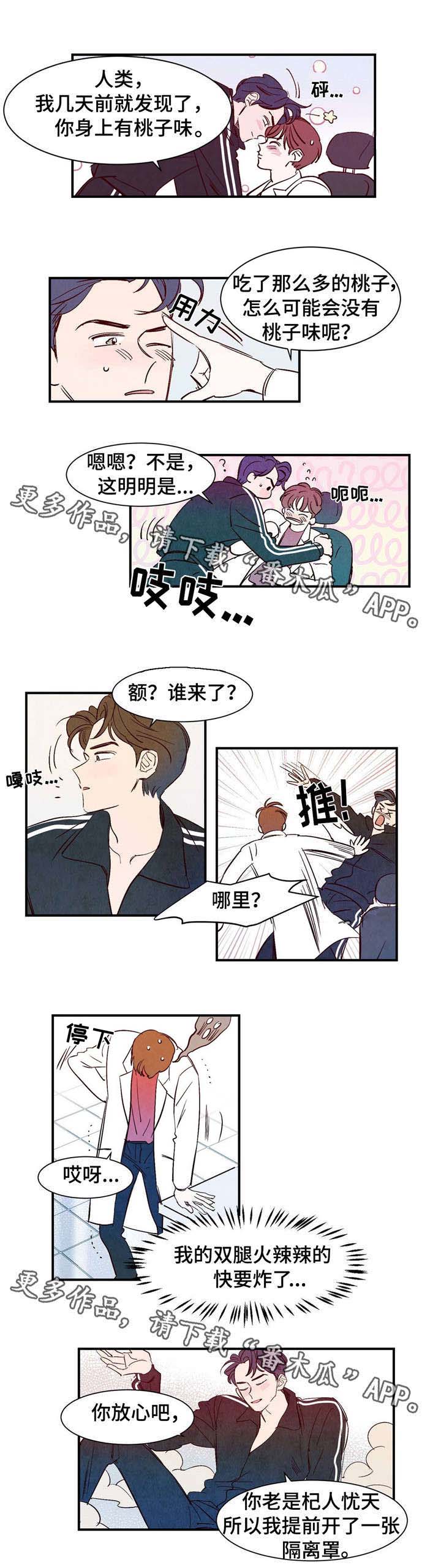 第13章：桃子味10
