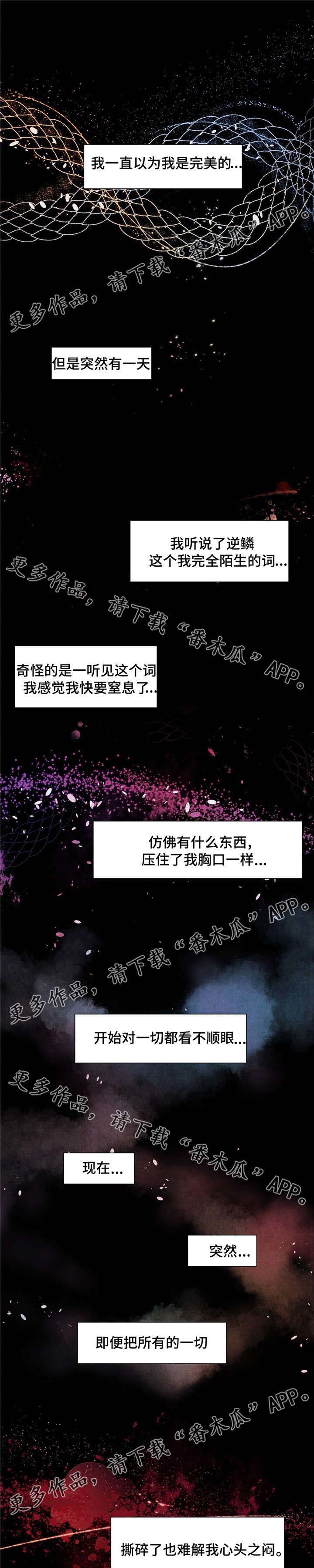 第13章：桃子味0