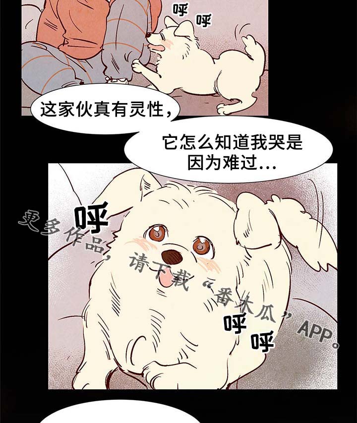 第37章：灵魂召唤21