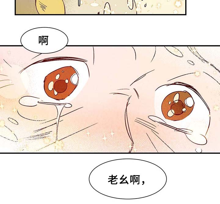 第38章：让我见见它22