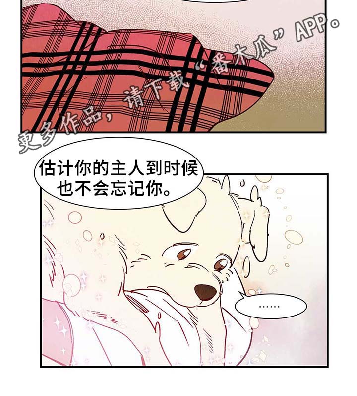 第40章：老幺的故事23