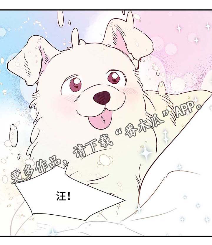 第40章：老幺的故事25