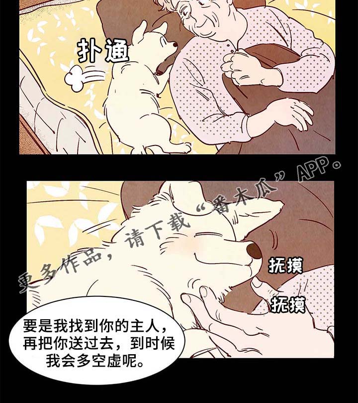 第40章：老幺的故事17