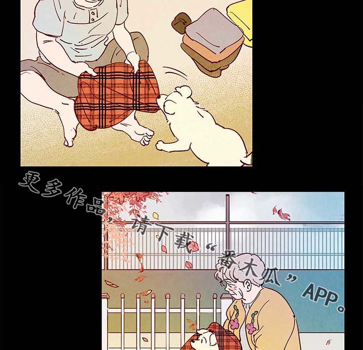 第40章：老幺的故事21