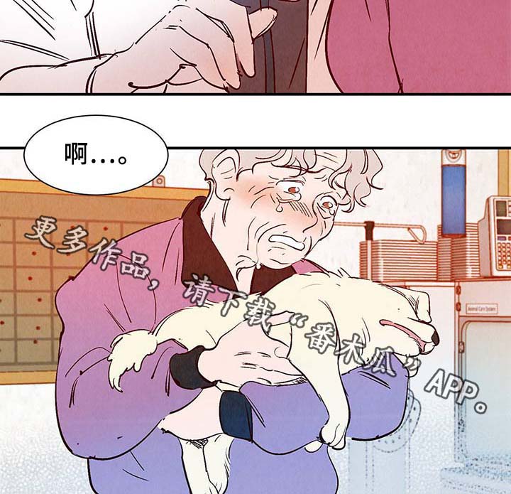 第37章：灵魂召唤12