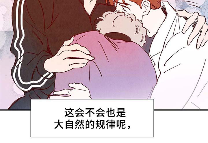 第39章：上路11
