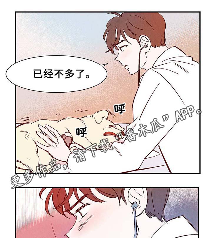 第36章：面对死亡20