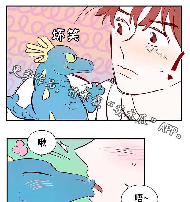 第30章：电梯20