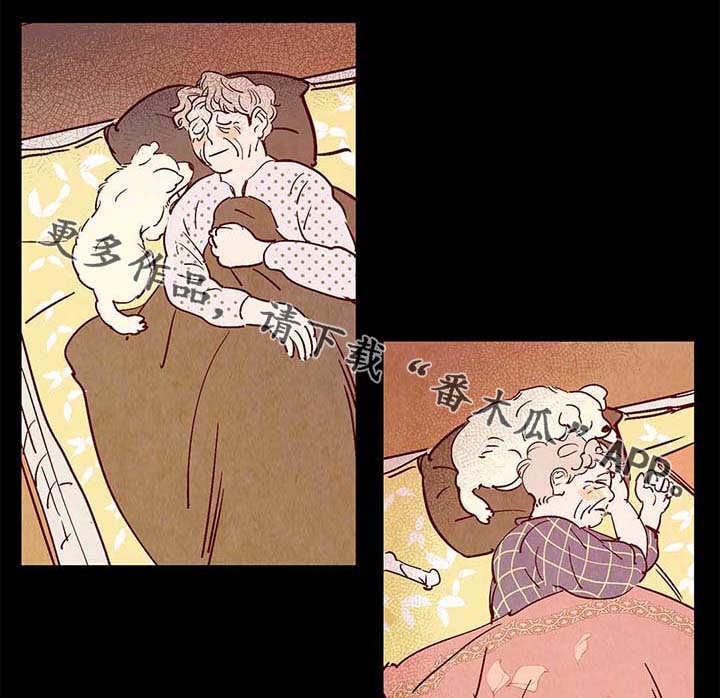 第40章：老幺的故事18