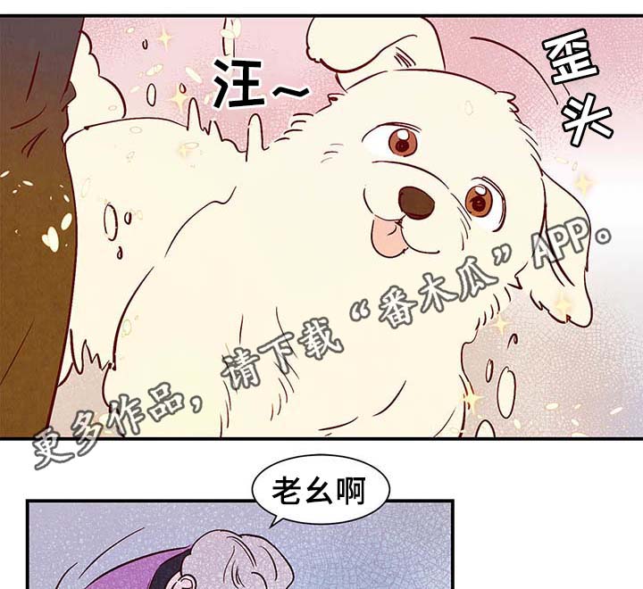 第38章：让我见见它0