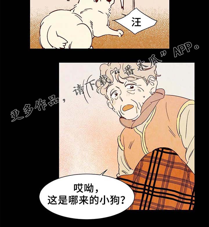 第40章：老幺的故事10