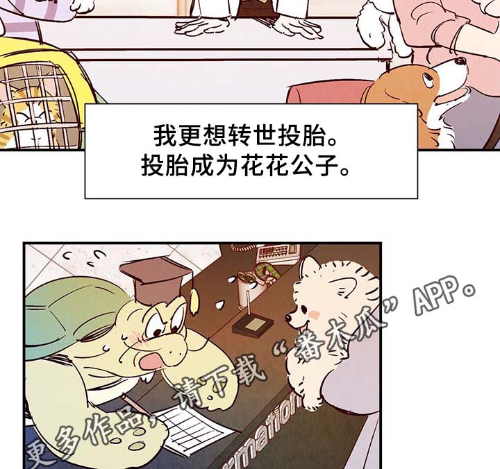 第29章：不想加班18