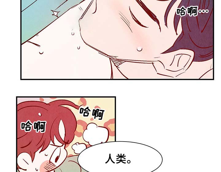 第32章：疯了12
