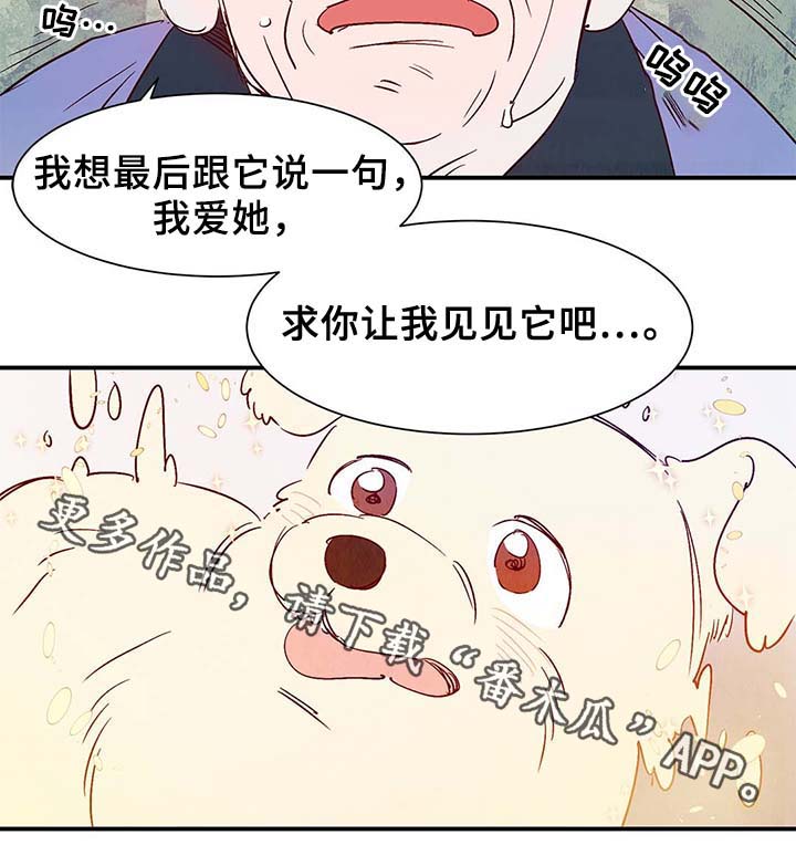 第38章：让我见见它16