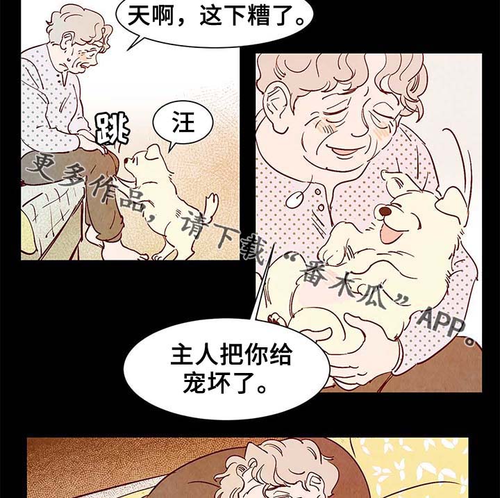 第40章：老幺的故事16