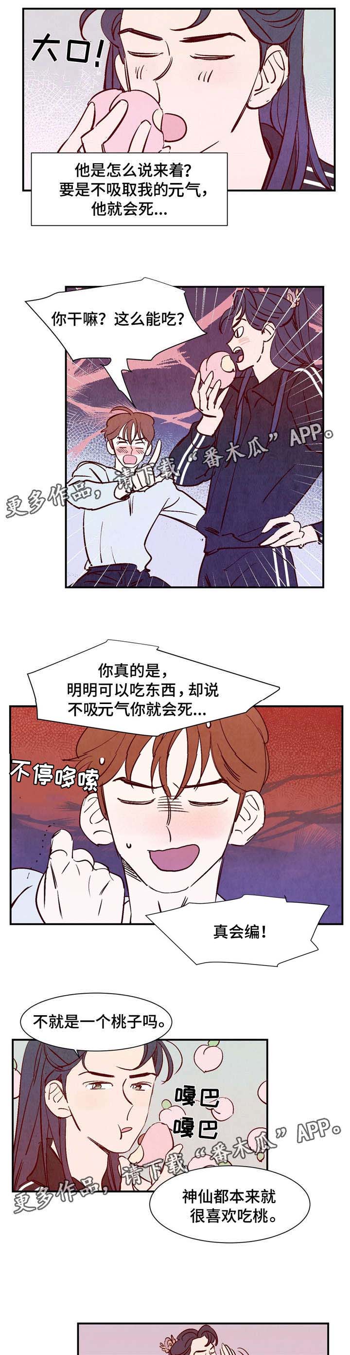 第5章：适应4