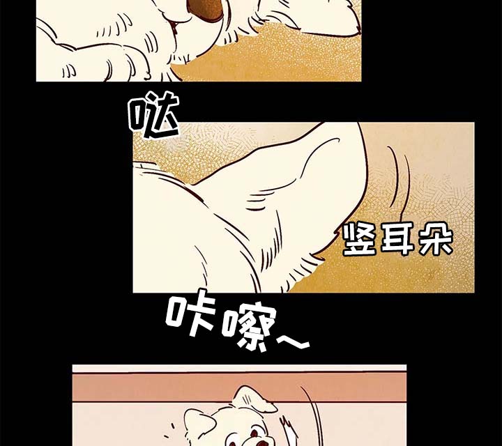 第40章：老幺的故事9