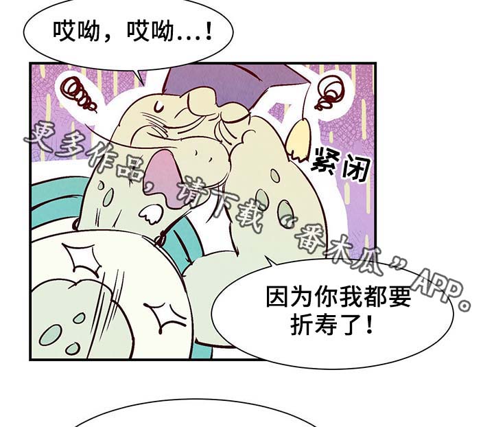 第35章：老幺19