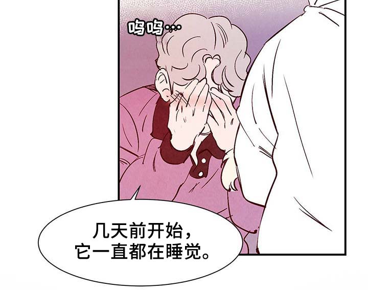 第36章：面对死亡3