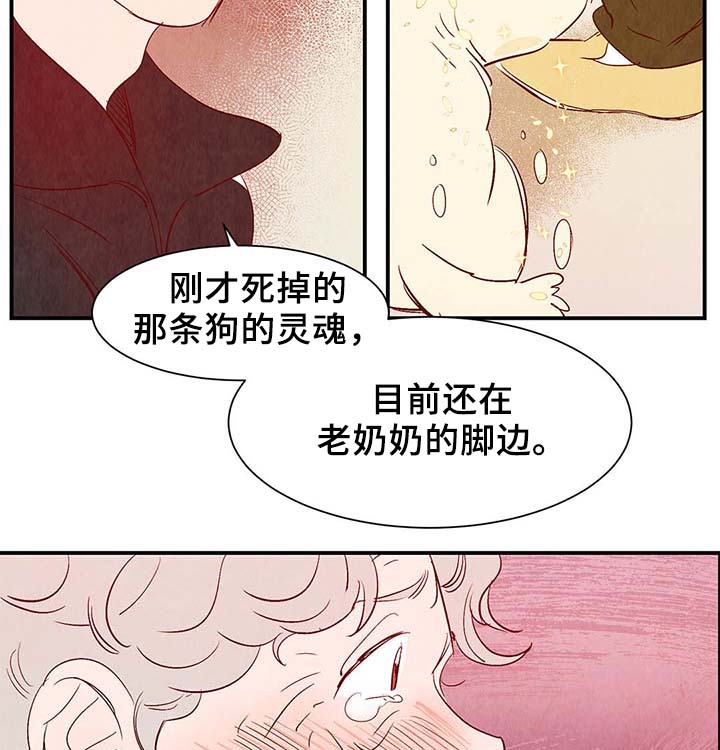 第38章：让我见见它10