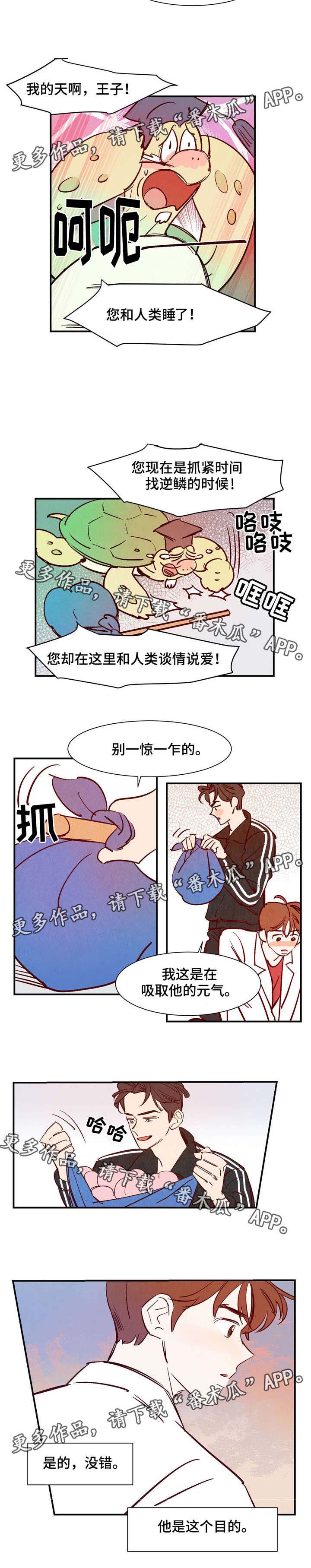 第18章：会说话的乌龟6