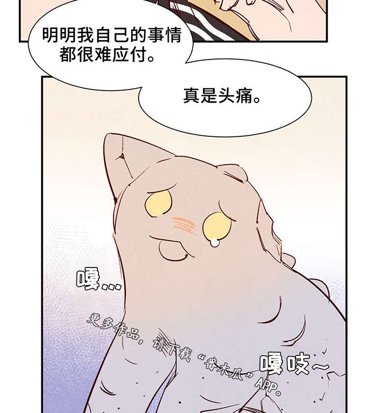 第25章：这小子不一样3