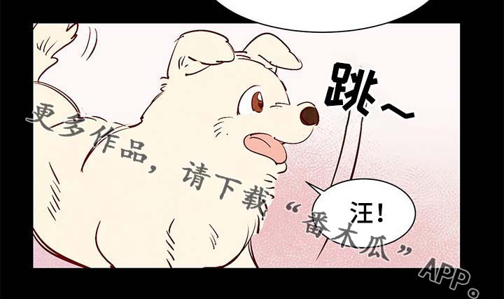 第40章：老幺的故事2