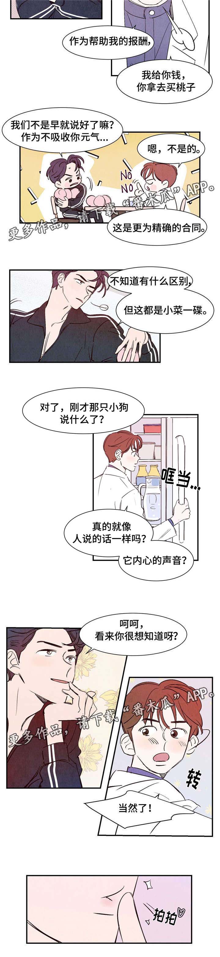 第10章：交易5