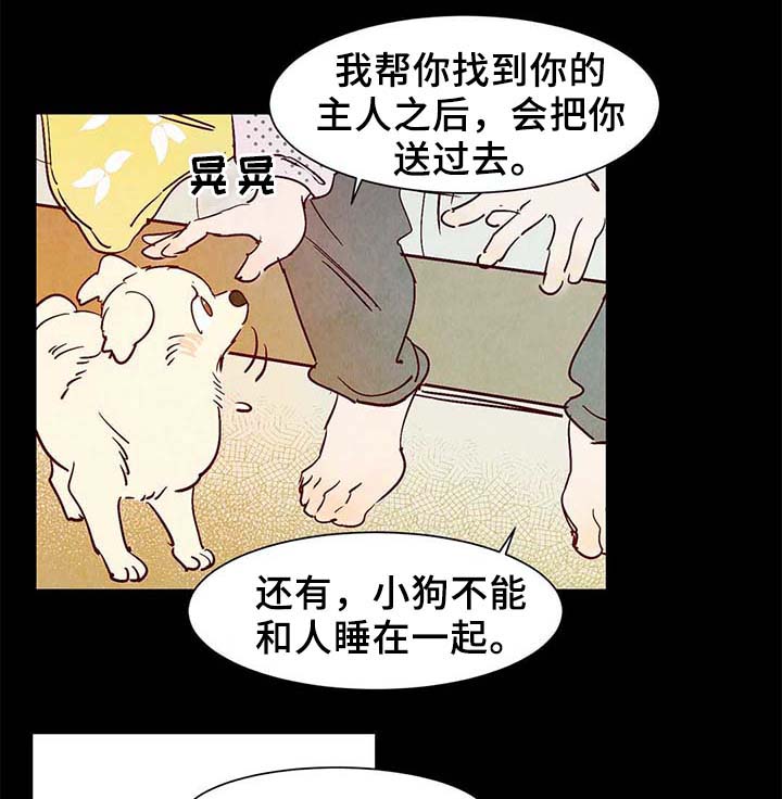 第40章：老幺的故事15
