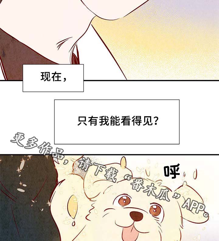 第37章：灵魂召唤33