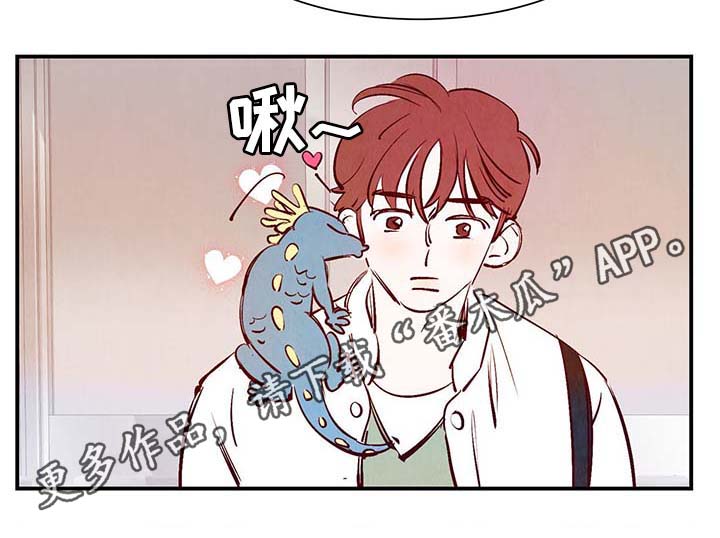第30章：电梯19