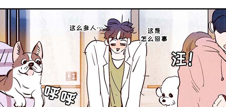 第29章：不想加班17