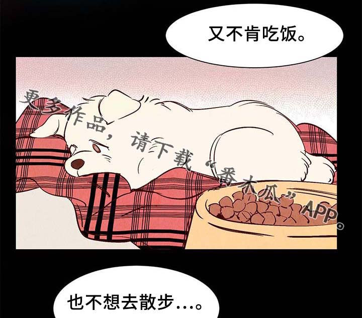 第36章：面对死亡4