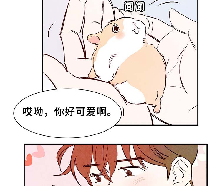 第30章：电梯2