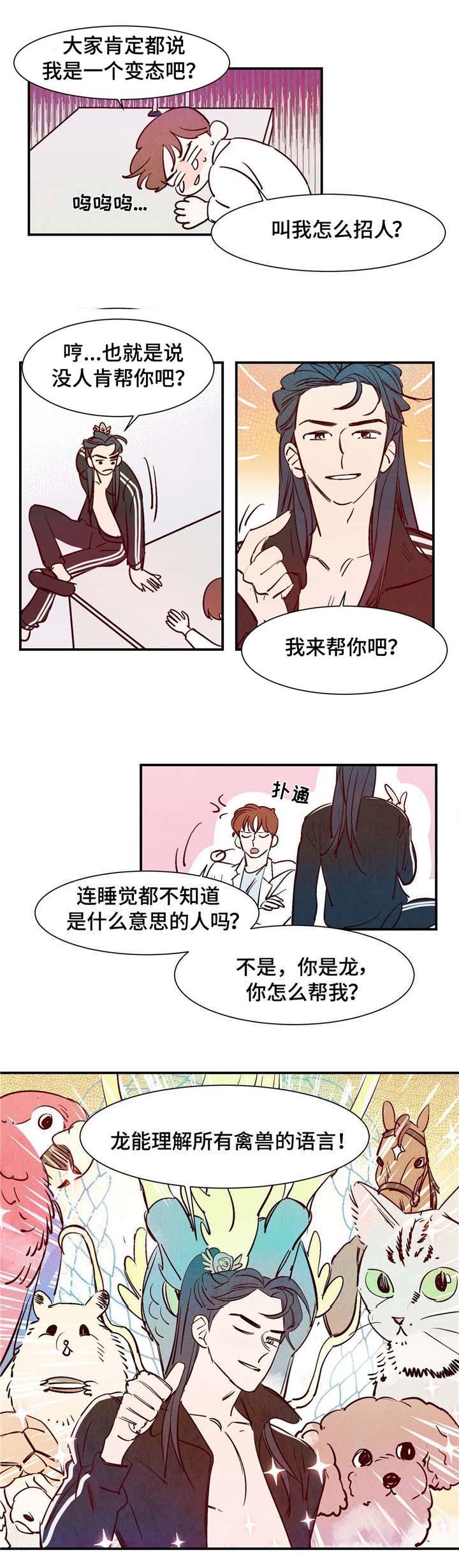 第4章：动物语言5