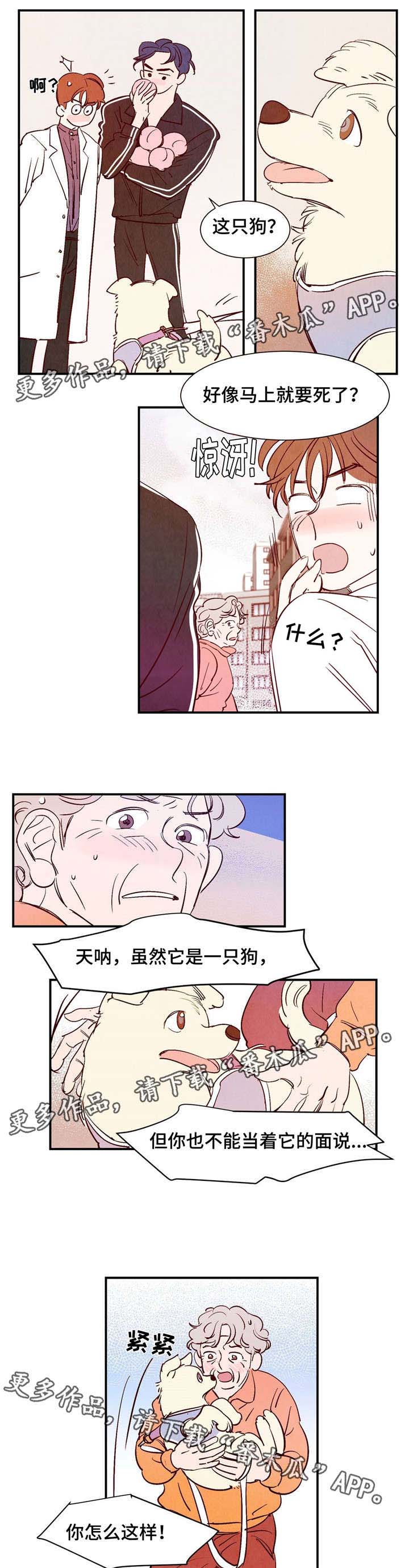 第9章：遇见你之后2