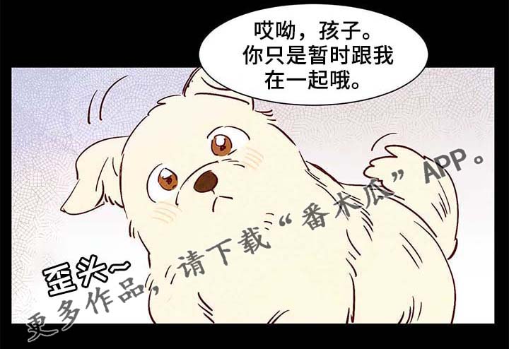 第40章：老幺的故事14