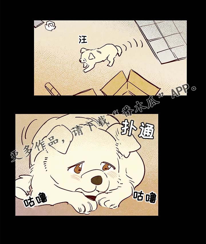 第40章：老幺的故事6