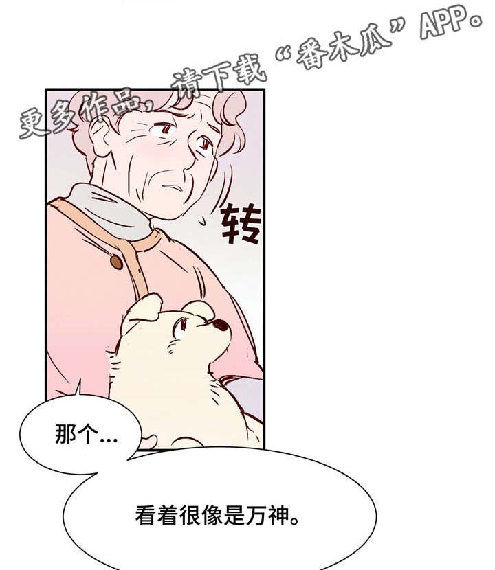 第14章：万神2