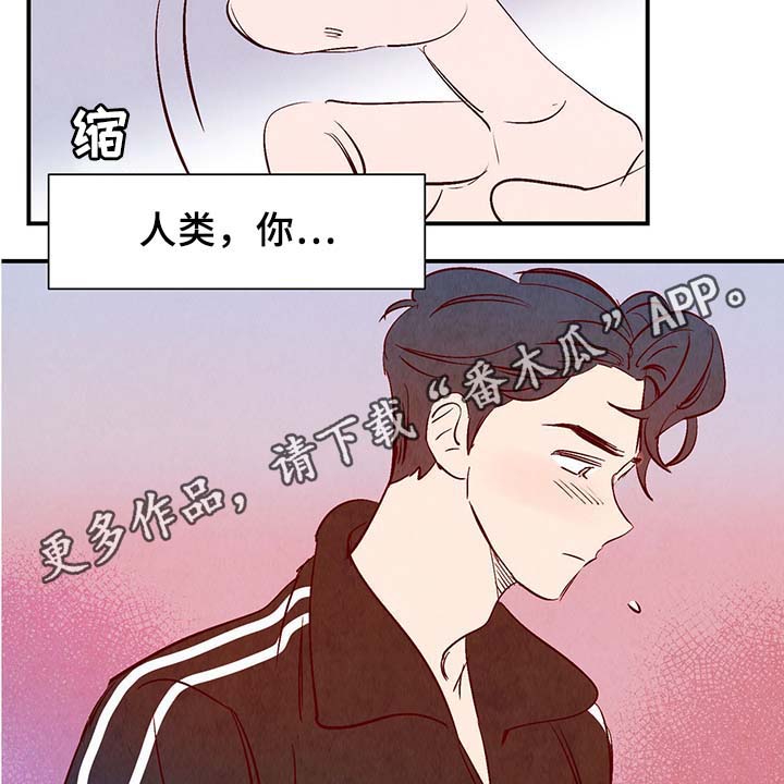第35章：老幺25