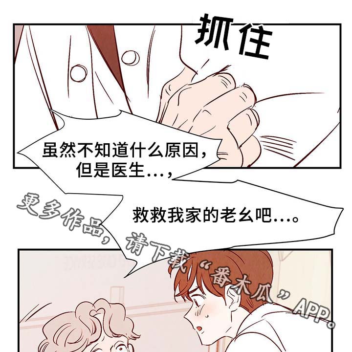 第35章：老幺27