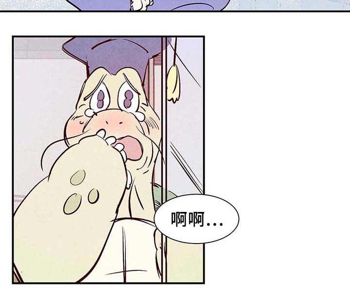 第37章：灵魂召唤13