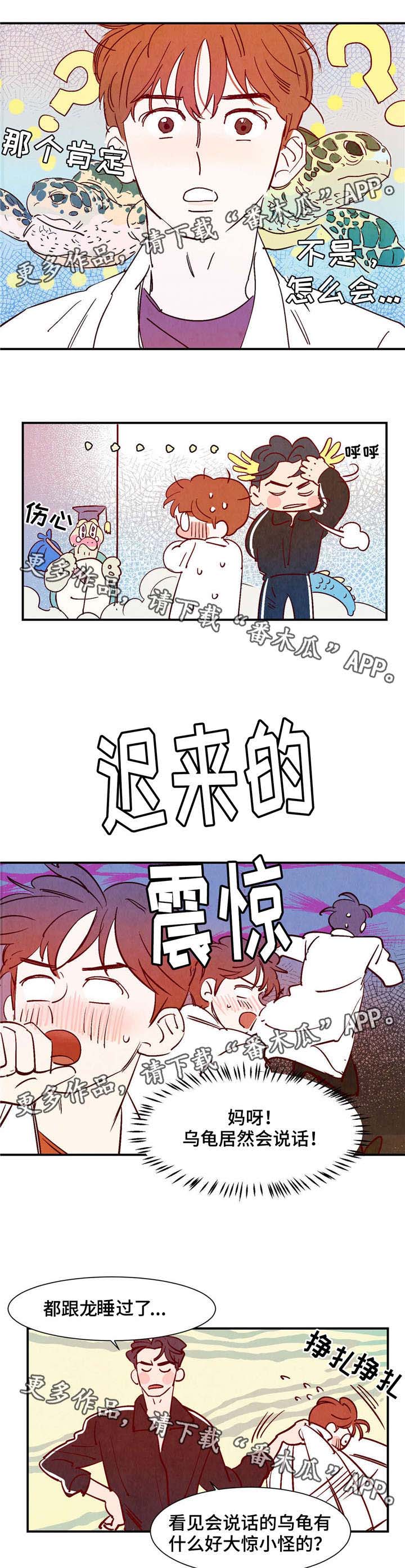 第18章：会说话的乌龟5