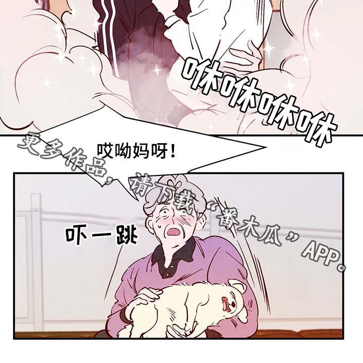 第35章：老幺11